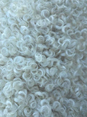 1lb Wool - Raw