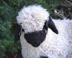 1lb Wool - Raw